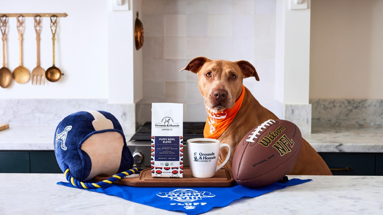 Life with Dogs 犬と生活 カレッジパーカー3号セット 1675899367250.jpeg